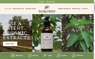 The Nokomis Project website