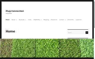 The Plug Connection, LLC website