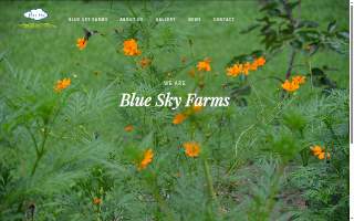 Blue Sky Farms NC, Inc. DBA Blue Sky Farms website