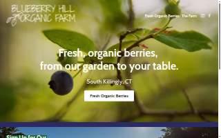 Blueberry Hill Organic Farm LLC website