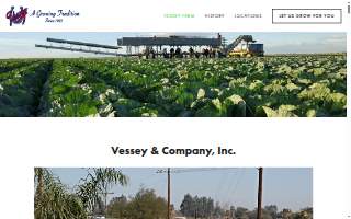 Vessey & Company Inc website