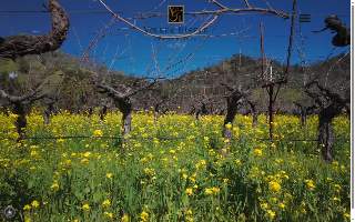 Volker Eisele Family Estate website