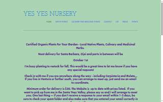 Yes Yes Nursery website