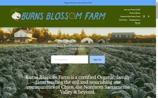 Burns Blossom Farm LLC website