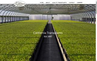 California Transplants, LLC website