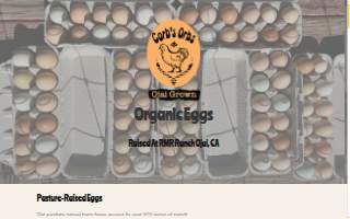 Corbs Orbs LLC website