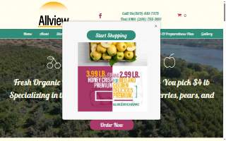Allview Services website