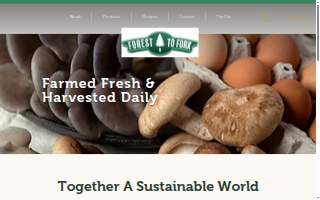 F2F Inc website