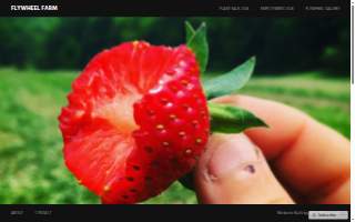 Flywheel Farm, LLC website