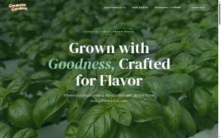 GG PHI LLC website