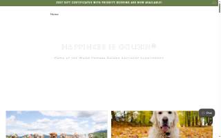 Golden Dog Farm LLC DBA N/A website