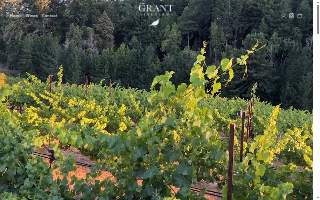 Grant Vineyards, LLC dba Grant Vineyards website