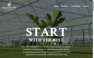 Headstart Nursery, Inc. website