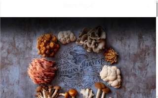 Hodgins Harvest website