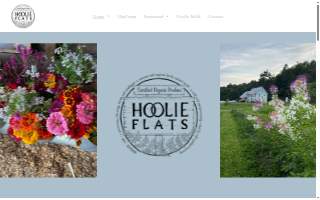Hoolie Flats LLC DBA N/A website