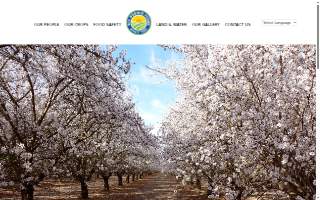 Joe L. Del Bosque, Jr. dba Empresas Del Bosque, Inc. website