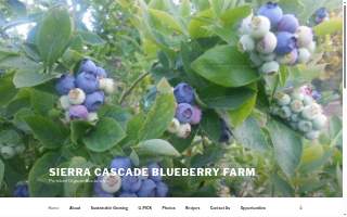 John & Armen Carlon dba Sierra Cascade Blueberry Farm website