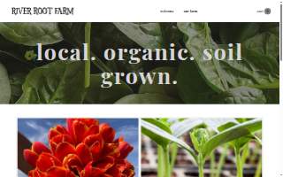 Katie Prochaska website