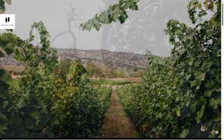 Kiatra Ventures, LLC dba Kiatra Vineyards website