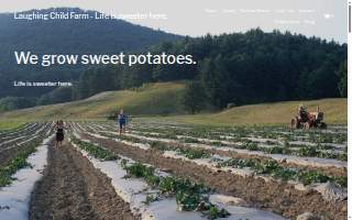 Laughing Child Farm, LLC website