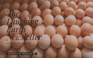 Laughing Earth LLC website
