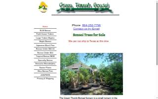 Green Thumb Bonsai