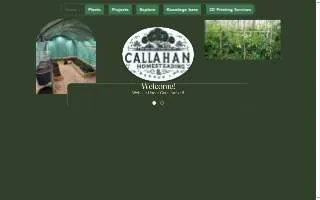 Callahan Homesteading website