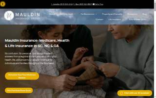 Mauldin Insurance Group