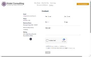 violet consulting salesforce