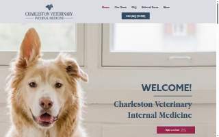 Charleston Veterinary Internal Medicine
