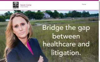 Lustig Consulting LLC website