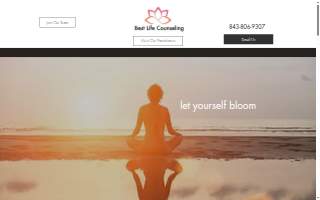 Best Life Counseling LLC