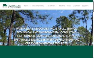Passarella & Associates Inc
