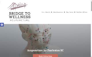 Bridge to Wellness Acupuncture