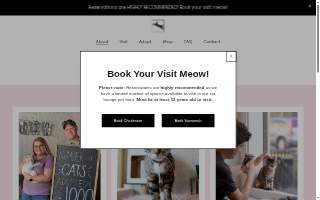 Pounce Cat Cafe + Wine Bar