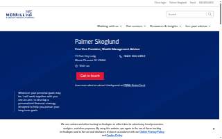 Merrill Lynch Financial Advisor Palmer Skoglund