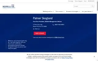 Merrill Lynch Financial Advisor Palmer Skoglund website