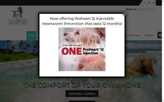 Charleston Veterinary House Calls