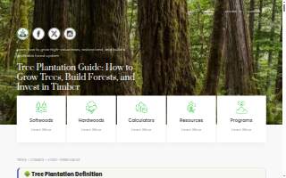 Myrtle Mental Health