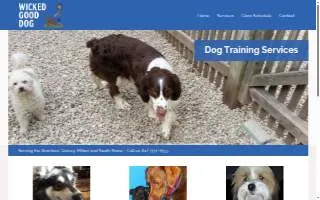 Wicked Good Dog, LLC of Randolph website