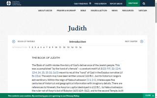 Judith A. Procopio, Real Estate Lawyer