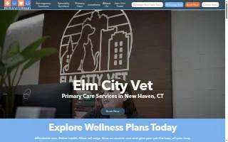 Elm City Vet of New Haven website