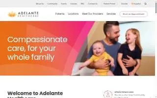 Adelante Tax Service of Forest Hills website