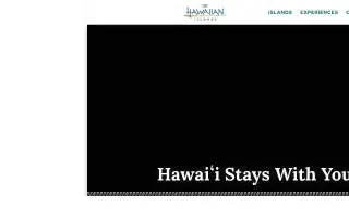 Hawaii Dental Wellness LLC - Dentist in Downtown Honolulu website