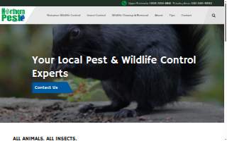 Northern Pest website