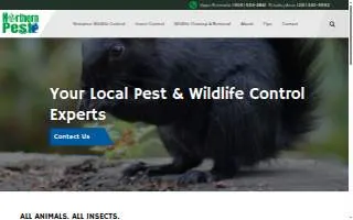 Northern Pest website