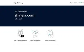 Shine of Lansing website