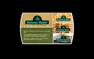 The Advance Group website