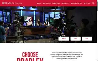 Bradley E Hammel CPA PA website