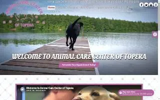 More Tax Services website